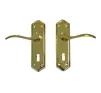 Torino Lever on plate Door Handles Polished Brass - 1