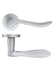 Lincoln Lever on Rose Door Handles Zoo Hardware - SC - 1