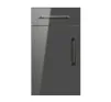 Phoenix / Gloss Graphite - 1