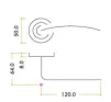 Assisi Lever on Rose Door Handles Zoo Hardware - CP - 2