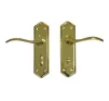 Torino Lever on plate Door Handles Polished Brass - WC - 1