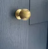 32mm Alexander and Wilks Caesar Cupboard Knob on Round Rose - Satin Brass PVD - 2