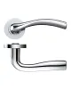Siena Lever on Rose Door Handles Zoo Hardware - CP - 1