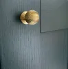 32mm Alexander and Wilks Caesar Cupboard Knob on Round Rose - Satin Brass PVD - 3
