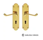 Large Victorian Scroll Lever on Shaped Backplate - Polished Brass