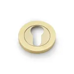 Alexander and Wilks Euro Profile Concealed Fix Escutcheon - Satin Brass PVD