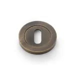 Alexander and Wilks Standard Profile Concealed Fix Escutcheon - Antique Brass