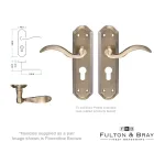 Winchester Lever on Euro Profile plate Door Handles