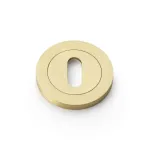Alexander and Wilks Standard Profile Concealed Fix Escutcheon - Satin Brass