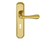 Eden Lever on Backplate PVD Stainless Brass