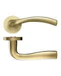 Siena Lever on Rose Door Handles Zoo Hardware - FSB