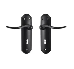 Basta Lever on Backplates