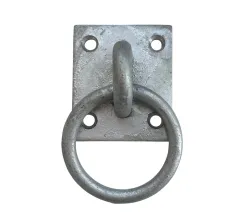 Ring on plates