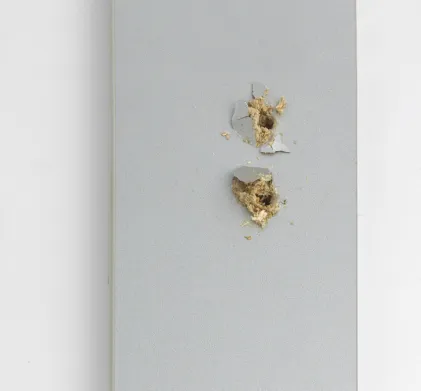 Cabinet Repair Plates