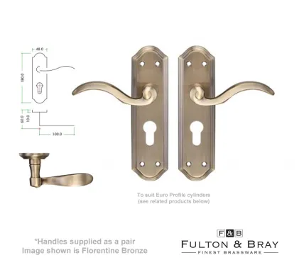 Winchester Lever on Euro Profile plate Door Handles