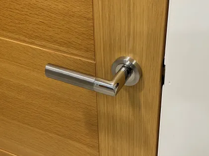 Oregon Lever on Rose Door Handles - Karcher SSS/PSS